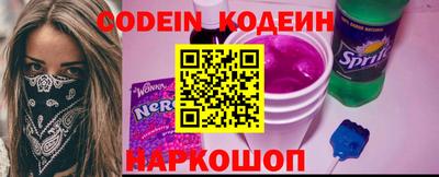 индика Камышлов