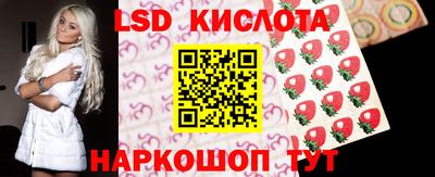 индика Камышлов