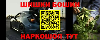 индика Камышлов