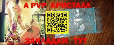 индика Камышлов
