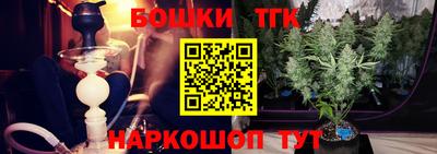 индика Камышлов