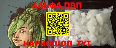 индика Камышлов