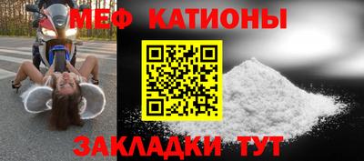 индика Камышлов